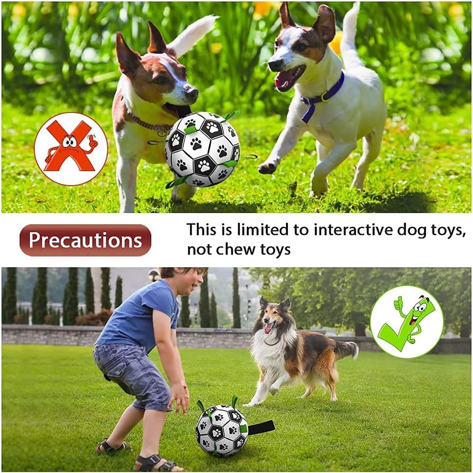 PERROS